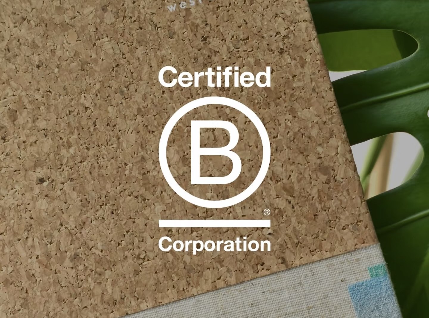 Certified B Corporation · 共益企业认证